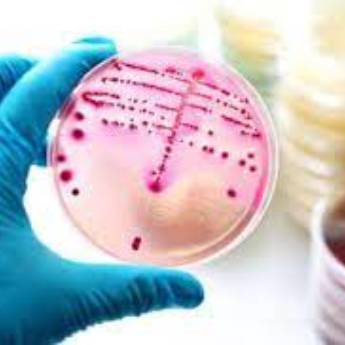 Comprar o produto de Exame Micologico em Podologia em Aracaju, SE por Solutudo