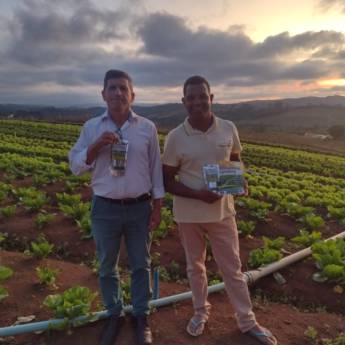 Comprar o produto de Fertilizante para legumes em Jardinagem em Ibiúna, SP por Solutudo Comprar o produto de Fertilizante para legumes em Jardinagem em Ibiúna, SP por Solutudo