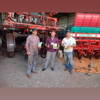 Comprar o produto de Fertilizante para algodão em Jardinagem em Ibiúna, SP por Solutudo Comprar o produto de Fertilizante para algodão em Jardinagem em Ibiúna, SP por Solutudo