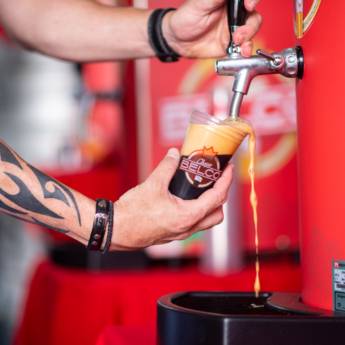 Comprar o produto de Chopp de Vinho em Chopps em Botucatu, SP por Solutudo