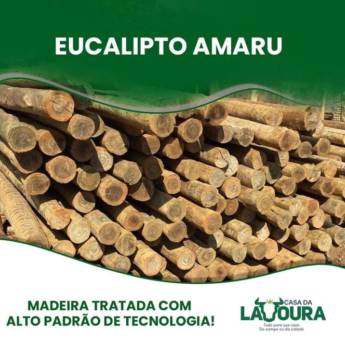 Comprar o produto de Eucalipto Amaru  em Madeira em Mineiros, GO por Solutudo