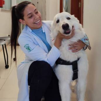 Comprar o produto de Atendimento veterinário em domicílio em Laboratórios Clínicos Veterinários em Avaré, SP por Solutudo