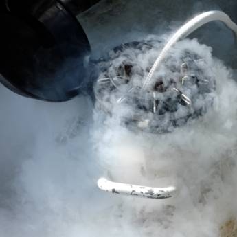 Comprar o produto de Empresa de abastecimento de nitrogênio líquido em Agricultura e Agropecuária em Garça, SP por Solutudo