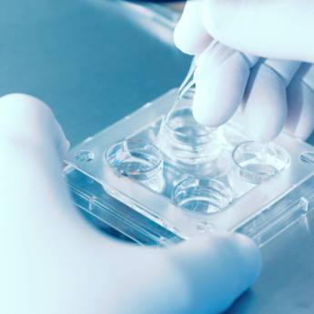 Comprar o produto de Empresa de produtos para inseminação artificial em Agricultura e Agropecuária em Garça, SP por Solutudo