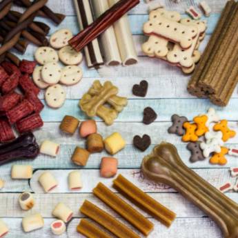 Comprar o produto de Petiscos em Casas de Ração em Botucatu, SP por Solutudo