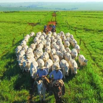 Comprar o produto de Abs Pecplan em Agricultura e Agropecuária em Garça, SP por Solutudo