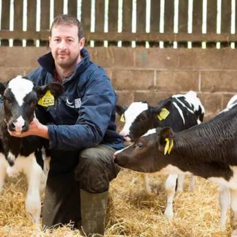 Comprar o produto de Sexcel  em Agricultura e Agropecuária em Garça, SP por Solutudo