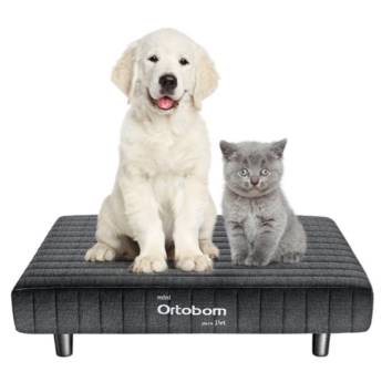 Comprar o produto de Mini Ortobom para Pet em Colchões em Botucatu, SP por Solutudo
