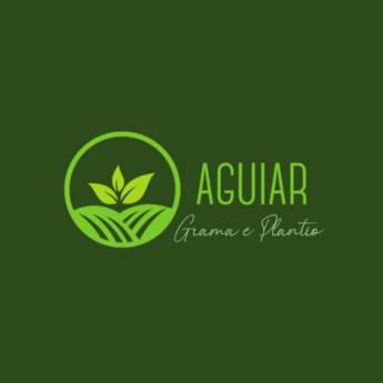 Comprar o produto de Jardinagem  em Jardinagem em Botucatu, SP por Solutudo Comprar o produto de Jardinagem  em Jardinagem em Botucatu, SP por Solutudo
