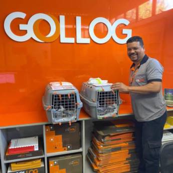 Comprar o produto de Transporte de animais em Transportadoras em Sinop, MT por Solutudo