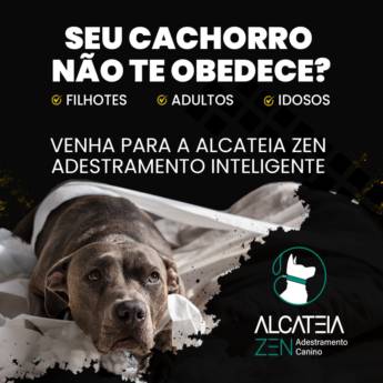 Comprar o produto de Passeios e passador canino em Adestramento em Botucatu, SP por Solutudo