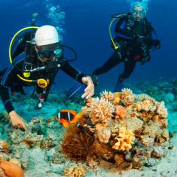 Comprar o produto de Busca de objetos submersos  em Limpeza de Equipamentos de Mergulho em Cascavel, PR por Solutudo