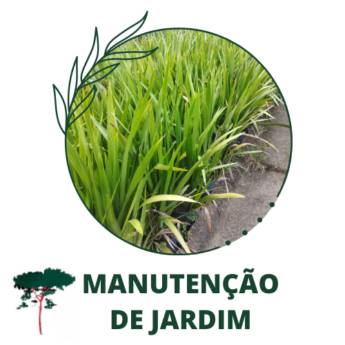 Comprar o produto de Manutenção de Jardim em Jardim pela empresa Paraíso Jardim - Serviços de Paisagismo em Itapetininga, SP por Solutudo
