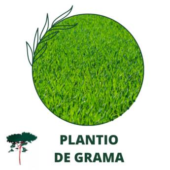 Comprar o produto de Plantio de Gramas em Grama pela empresa Paraíso Jardim - Serviços de Paisagismo em Itapetininga, SP por Solutudo