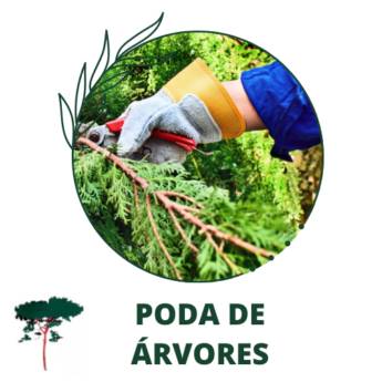 Comprar o produto de Poda de Árvores em Outros Serviços pela empresa Paraíso Jardim - Serviços de Paisagismo em Itapetininga, SP por Solutudo