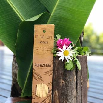 Comprar o produto de Incenso alfazema contém 10 varetas  em Incenso pela empresa Farmácia e Manipulação Floreasca em Foz do Iguaçu, PR por Solutudo