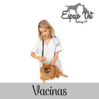 Comprar o produto de Vacinas em Cães e Gatos em Itapetininga, SP por Solutudo