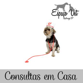 Comprar o produto de Consultas em Casa em Consultas em Itapetininga, SP por Solutudo