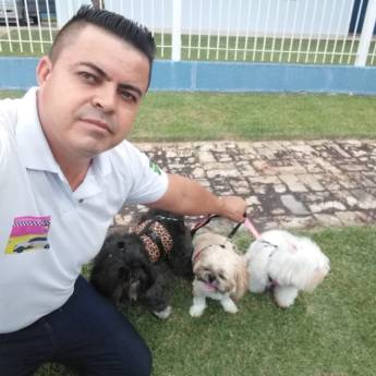 Comprar o produto de Passeio com cachorros em Pet Shop em São Sebastião, SP por Solutudo