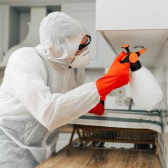 Comprar o produto de Tratamento contra carrapato em Copacabana em Dedetizadoras em São Gonçalo, RJ por Solutudo