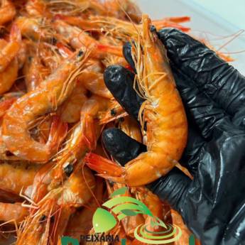 Comprar o produto de Camarão em  Peixes & Crustaceos em Jataí, GO por Solutudo