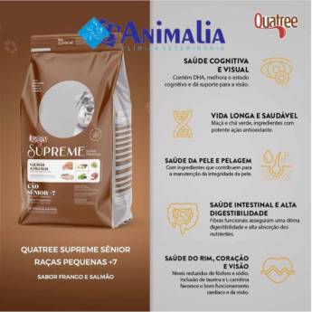 Comprar o produto de Sabia que cãezinhos a partir de 7 anos de idade precisam de cuidados especiais? em Veterinário em Leopoldina, MG por Solutudo