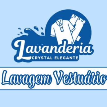 Comprar o produto de Lavagem Vestuário em Lavanderias em Itapetininga, SP por Solutudo