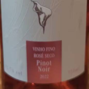 Comprar o produto de VINHO ROSE PINOT NOIR 2022 - BERALDO DI CALE  em Vinhos em Jundiaí, SP por Solutudo