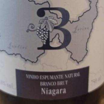Comprar o produto de VINHO ESPUMANTE BRUIT NIAGARA - BERALDO DI CALE  em Vinhos em Jundiaí, SP por Solutudo