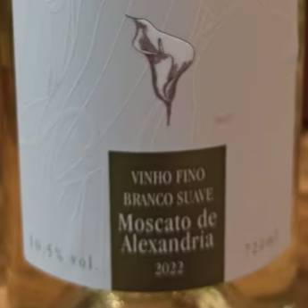 Comprar o produto de VINHO MOSCATO DE ALEXANDRIA 2022 - BRANCO -BERALDO DI CALE  em Vinhos em Jundiaí, SP por Solutudo