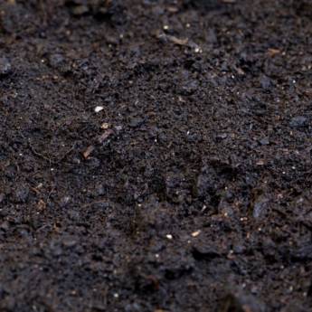 Comprar o produto de Terra preta para jardins e hortas em Jardinagem em Matinhos, PR por Solutudo