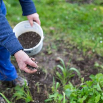Comprar o produto de Adubação para jardins e hortas em Jardinagem em Matinhos, PR por Solutudo
