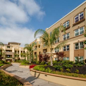 Comprar o produto de Manutenção de jardim de casas, prédios e condomínios  em Jardinagem em Matinhos, PR por Solutudo