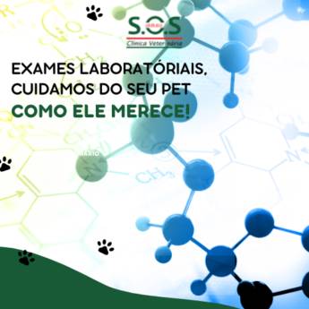 Comprar o produto de Exames Laboratoriais para seu PET em Clínicas Veterinárias em Itapetininga, SP por Solutudo