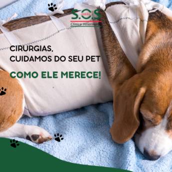 Comprar produto Cirurgia para o seu PET em Clínicas Veterinárias pela empresa S.O.S Animal Clínica Veterinária em Itapetininga, SP