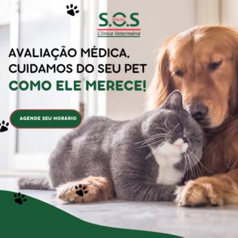 Comprar o produto de Consultas para Cães e Gatos em Clínicas Veterinárias em Itapetininga, SP por Solutudo