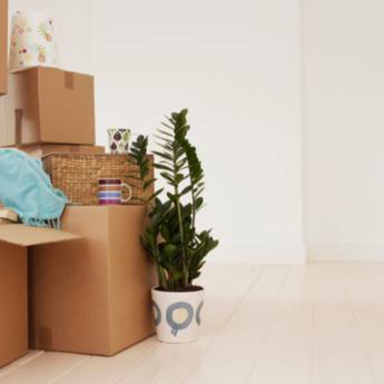 Comprar o produto de Fretes - Transporte Eficiente e Seguro em Fraiburgo, SC em mudanças em Fraiburgo, SC por Solutudo Comprar o produto de Fretes - Transporte Eficiente e Seguro em Fraiburgo, SC em mudanças em Fraiburgo, SC por Solutudo