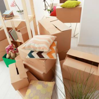 Comprar o produto de Empacotamento - Proteção e Organização em Fraiburgo, SC em mudanças em Fraiburgo, SC por Solutudo Comprar o produto de Empacotamento - Proteção e Organização em Fraiburgo, SC em mudanças em Fraiburgo, SC por Solutudo