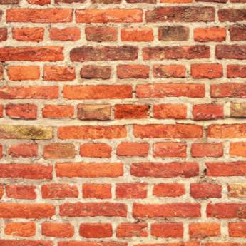 Comprar o produto de Tijolos Naturais em Pisos e Revestimentos em Avaré, SP por Solutudo