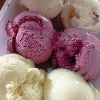 Comprar o produto de Pote de sorvete de 1L com 6 bolas em Bauru em Sorvetes em Bauru, SP por Solutudo