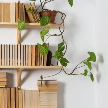 Comprar o produto de Prateleiras Sob Medida – Organização e Estilo em Diadema, SP em Móveis Planejados - Marcenarias em Diadema, SP por Solutudo