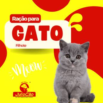 Comprar o produto de Ração Para Gatos Filhotes em Ração para Gatos em Itapetininga, SP por Solutudo