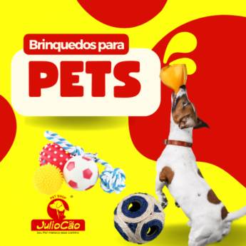 Comprar o produto de Brinquedos para Pets em Brinquedos em Itapetininga, SP por Solutudo