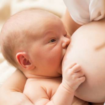 Comprar o produto de Auxílio na Amamentação  em Nossos Serviços em Americana, SP por Solutudo