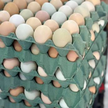 Comprar produto Ovos Caipira  em Ovos pela empresa Casa De Carne Caipira em Mineiros, GO