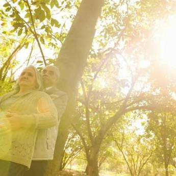 Comprar o produto de Bodas em A Classificar em Americana, SP por Solutudo