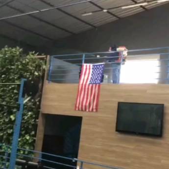 Comprar o produto de Desinsetização Completa para Ambientes Seguros em Limeira - SP em Dedetizadoras em Limeira, SP por Solutudo