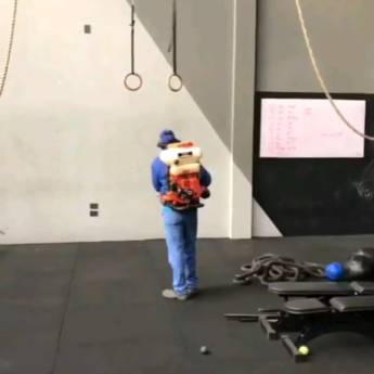 Comprar o produto de Desinsetização em Araras em Dedetizadoras em Araras, SP por Solutudo