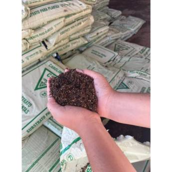 Comprar o produto de Venda de Insumos para Jardinagem: Qualidade e Praticidade em Florianópolis com a Arte no Vaso em Jardim em Florianópolis, SC por Solutudo