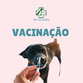 Comprar o produto de Vacinação de Cães e Gatos em Veterinário em Mairinque, SP por Solutudo